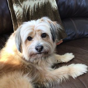 Meet your Posher, Bryan